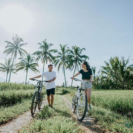 Dukuh Sebatu Villa Ubud Tegallalang  Buitenkant foto